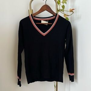 Aritzia Wilfred Free V Neck Varsity Sweater